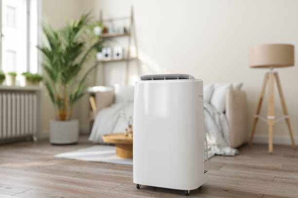 Best Ductless Mini-Split Systems in Moss Point, MS
